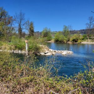 Ich stand einen Moment still und staunte. Zur rechten Seite die Reuss, wie erwartet. Doch links von mir, noch ein Fluss? Ruhig lag er da, fast regungslos – ein Kanal, wie ich bald erkannte. Ich kannte diesen Wasserlauf nicht. Ich hatte keine Ahnung, dass er überhaupt existierte. Und genau deshalb ist das Entdecken des unbekannten Kanals so bedeutsam – es passiert mitten im bewussten Erkennen eines bekannten Flusses.
